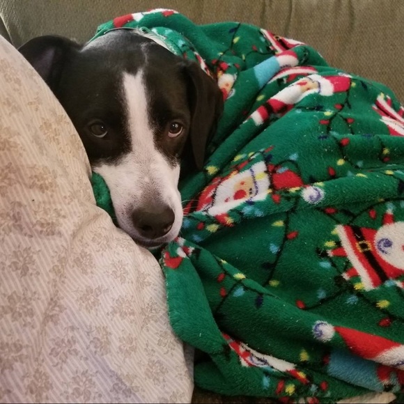 Meet your Posher, E-P - Picture 4 of 6